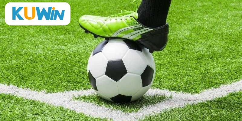 Live betting là một chiến lược hiệu quả