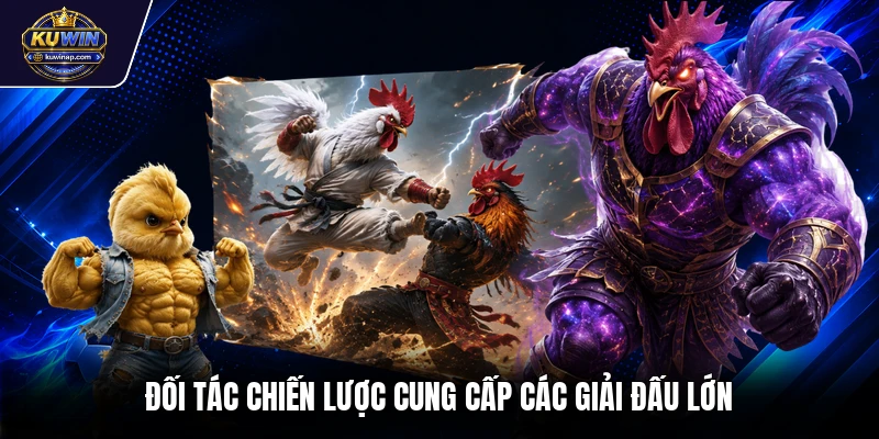 Đối tác chiến lược cung cấp các giải đấu lớn