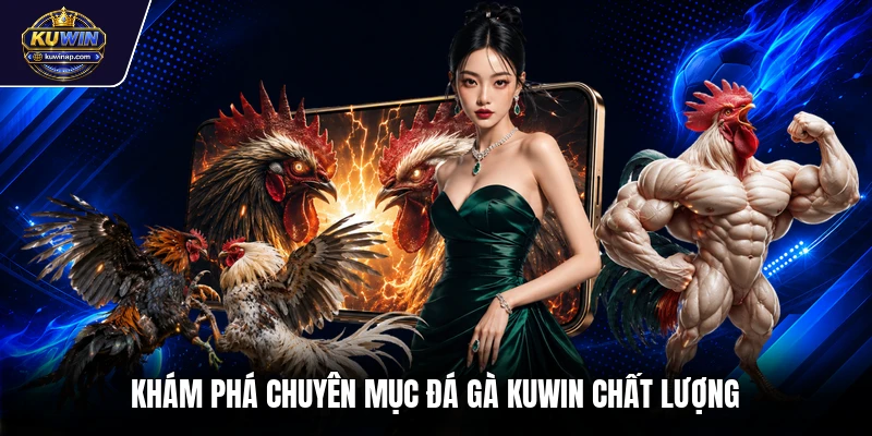 Khám phá chuyên mục đá gà Kuwin chất lượng